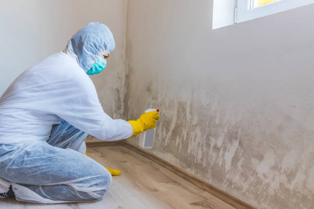 Bathroom Mold Removal assessment in Deer Park bathroom